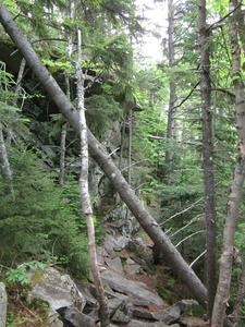 Appalachian Trail 