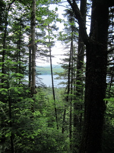 Appalachian Trail Long Pond