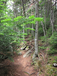 Appalachian Trail 