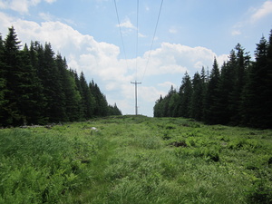 Appalachian Trail Powerline 5.4 miles