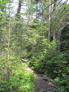 Appalachian Trail 