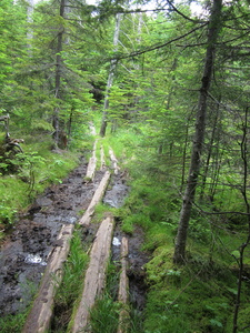 Appalachian Trail 