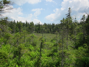 Appalachian Trail 