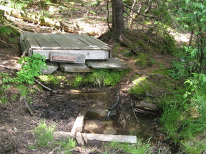 Appalachian Trail Little Swift River Pond Campsite Spring