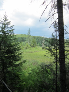 Appalachian Trail 