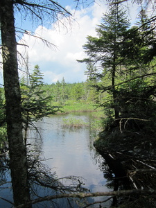 Appalachian Trail 