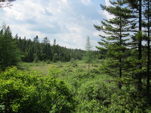 Appalachian Trail 