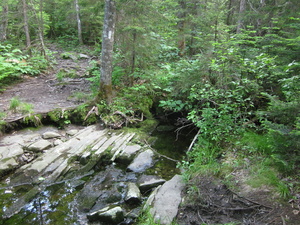 Appalachian Trail 