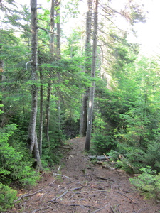 Appalachian Trail 