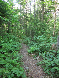 Appalachian Trail 