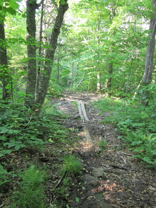 Appalachian Trail AT Trail