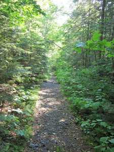 Appalachian Trail 