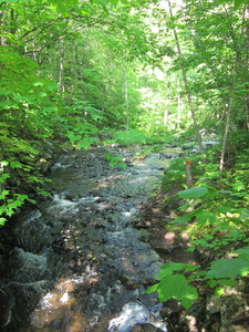 Appalachian Trail 