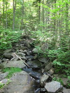 Appalachian Trail 