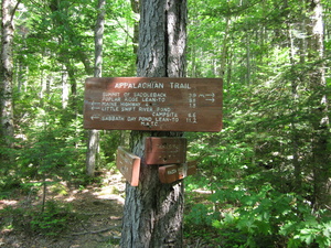 Appalachian Trail Piazza Rock area