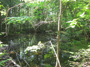 Appalachian Trail 