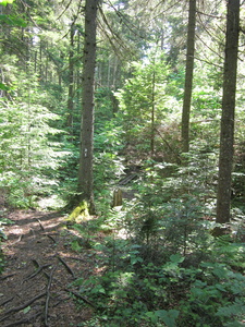 Appalachian Trail 