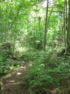 Appalachian Trail 