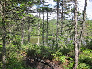 Appalachian Trail Ethel Pond