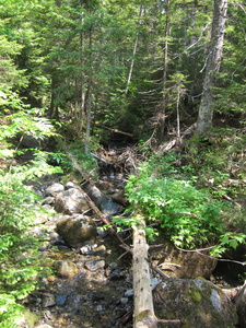 Appalachian Trail 