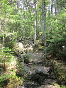 Appalachian Trail 