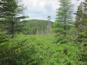 Appalachian Trail 