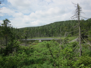 Appalachian Trail Eddy Pond