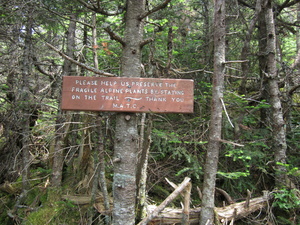 Appalachian Trail Treeline warning 