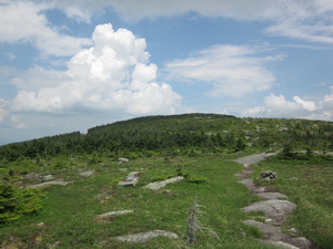 Appalachian Trail 