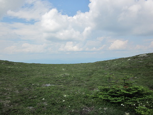 Appalachian Trail 