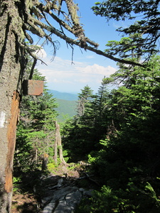 Appalachian Trail Treeline warning