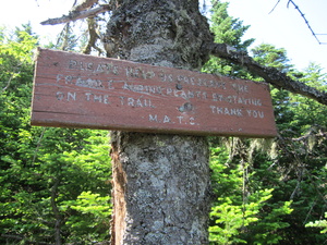 Appalachian Trail Treeline warning