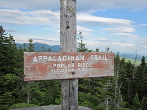 Appalachian Trail Poplar Ridge