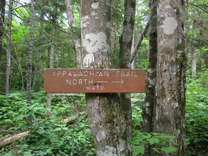 Appalachian Trail 