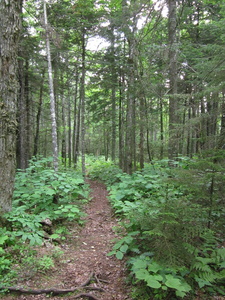 Appalachian Trail 