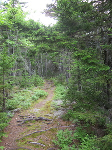 Appalachian Trail 