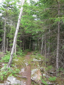 Appalachian Trail 