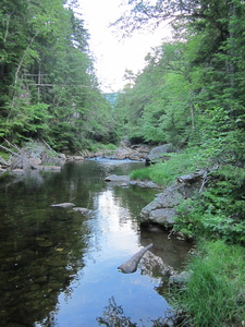 Appalachian Trail Orbeton Stream