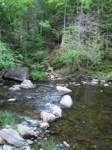 Appalachian Trail Orbeton Stream rock crossing