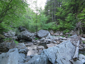 Appalachian Trail 