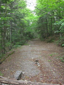 Appalachian Trail Old railroad bed.