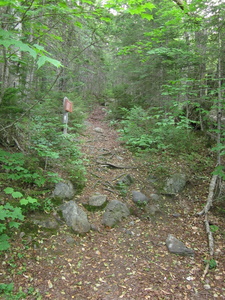 Appalachian Trail 