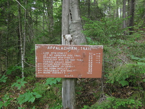 Appalachian Trail North of Orbeton Stream