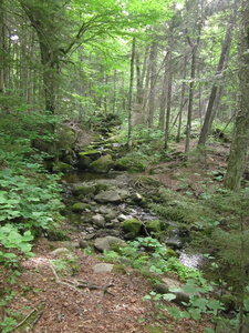 Appalachian Trail 