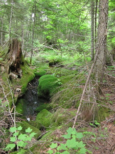 Appalachian Trail 