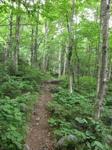 Appalachian Trail 