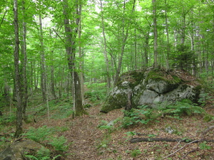 Appalachian Trail 