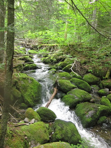 Appalachian Trail 