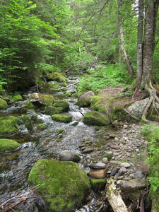 Appalachian Trail 