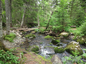 Appalachian Trail 